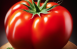 Томаты в магазинах России подорожали