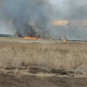 Камыш в Сызранском районе горел на площади 800 квадратных метров