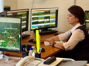 С 30 апреля в Самарской области открыт пожароопасный сезон. Информация о любом природном возгорании поступает в региональную диспетчерскую службу министерства природных ресурсов и экологии Самарской области.