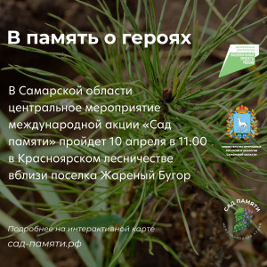В 2026 году дан старт седьмому сезону международной акции «Сад памяти», которая проходит с 2020 года по поручению президента РФ Владимира Путина, а также в поддержку нацпроекта «Экологическое благополучие». 