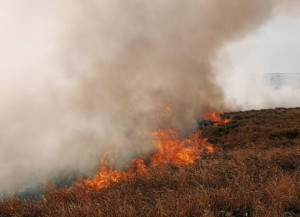 В Богатовском районе тушили сухую траву