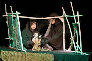 В Самаре стартовал очный этап городского конкурса театрального искусства «Театральный Олимп». В течение двух дней на сцене выступят 13 творческих коллективов.