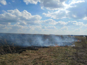 8 апреля в ГКУ СО «Центр по делам ГО, ПБ и ЧС» поступило сообщение о том, что в 400 метрах юго-западнее поселка Романовка горит сухая трава.