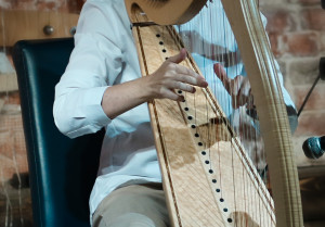 В Самаре встретятся арфисты со всей России