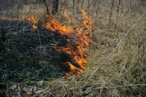 Все выходные в Безенчукском районе горела трава!