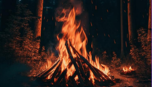 В Самаре вводят особый противопожарный режим с 15 апреля по 31 октября