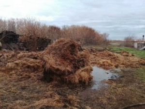 В субботу в Большечерниговском районе горели 2 тонны сена
