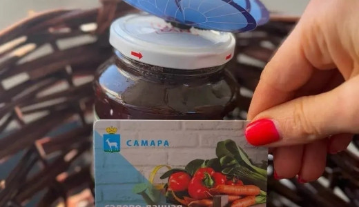 Автобусы к садово-дачным участкам в Самаре начнут курсировать 18 апреля