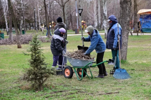 В рамках мероприятий по сохранению и озеленению парков и общественных пространств Самары в парке Победы проведут масштабное озеленение — высадят крупномерные деревья.