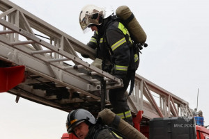 За прошедшие сутки в регионе в результате палов сухой травы произошло 6 пожаров.