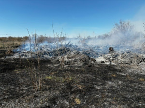 Возгорание сухой травы общей площадью 600 квадратных метров тушили в Похвистневском районе