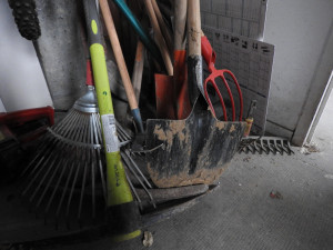 25 апреля 2026 года по всей стране пройдёт масштабный Всероссийский субботник. Самарская область также станет частью этого значимого мероприятия.