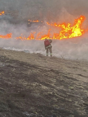В Сергиевском и Хворостянском районах горели мусор и трава