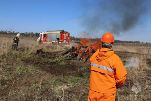16 апреля в семнадцатом квартале Тольяттинского лесничества состоялись масштабные командно-штабные учения с участием подразделений МЧС России.