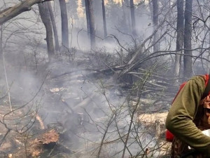 18 апреля возгорание в Задельненском участковом лесничестве обнаружили камеры видеонаблюдения. На место выдвинулись бригады и техника с пяти ближайших лесопожарных станций.