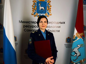 Министерство природы региона подводит итоги работы по привлечению к ответственности за нарушения природоохранного законодательства за I квартал.