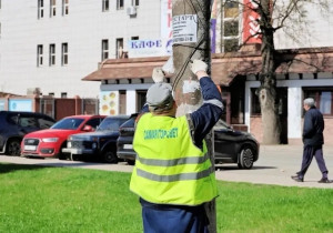 В Самаре более 45 тысяч опор наружного освещения и контактных сетей городского общественного электротранспорта очищают от несанкционированной рекламы и граффити.