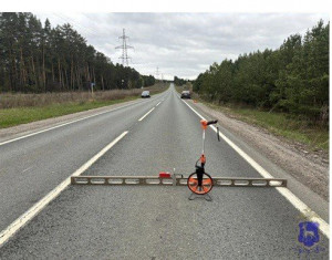 В Ставропольском районе водитель сбил косулю