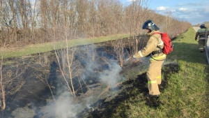 В Челно-Вершинском районе горела сухая трава на 200 кв. м