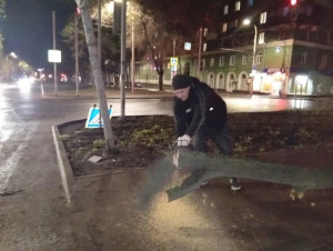 На ул. Революционной/Печерской специалисты распилили и убрали упавшее на дорогу дерево