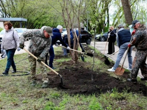 Команда администрации города Самары и служб благоустройства вышла на субботник