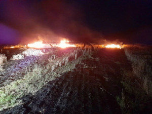 Красноярские огнеборцы тушили возгорания сухой травы  на 800 кв. м