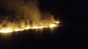 27 апреля в ГКУ СО «Центр по делам ГО, ПБ и ЧС» поступило сообщение о пожаре в селе Тимашево на улице Совхозной.