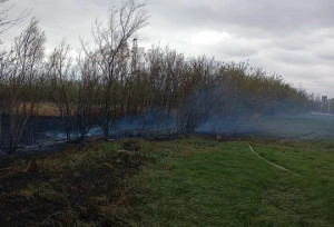 В селе Августовка Большечерниговского района горел камыш на 500 кв. м