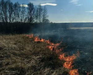 Общая площадь лесных пожаров в регионе с начала сезона составила более 20 гектаров: два пожара на землях лесного фонда и один — в городских лесах Тольятти.