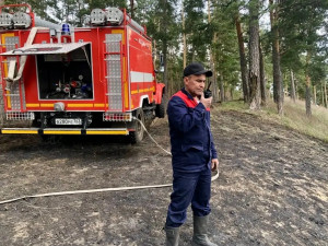 С начала сезона в Самарской области произошло три лесных пожара