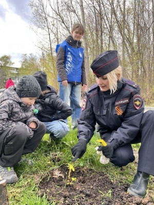 В рамках акции «Сад памяти» в Жигулевске  на территории городского парка военной техники высадили молодые саженцы каштана.
