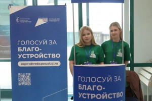 По данным на 4 мая, в ТОП-3 лидеров рейтингового голосования вошли сквер Памяти ветеранов в районе дома №5 по ул. Силина (8,6 тысяч голосов), сквер у Поликлиники № 13 в районе дома №61 по улице Гагарина (6,4 тысячи голосов) и пешеходная зона на Березовой