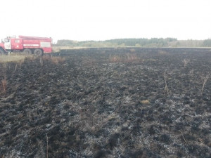 В Челно-Вершинском районе горела сухая трава на площади 300 квадратных метров