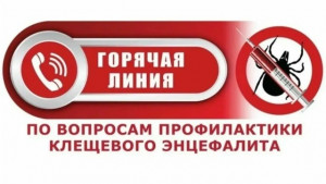 «Горячая линия» по профилактике клещевого вирусного энцефалита работает в Самаре до 10 мая