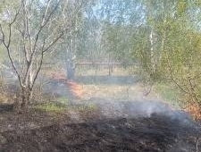 В Кошкинском районе горела сухая трава на площади 100 квадратных метров
