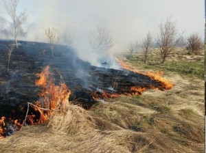 В Волжском районе тушили природные пожары, общая площадь которых составила 1755 квадратных метров