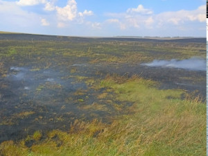 В Хворостянском районе горели трава и легковой автомобиль
