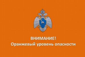 По информации Приволжского УГМС в ночные и утренние часы 10 и 11 мая в Самарской области ожидаются заморозки -0, -3 С.