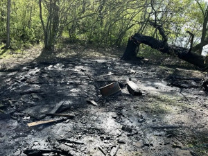 Первый очаг возник 7 мая на территории Похвистневского лесничества. Огонь перешёл в лесной массив с сопредельного участка, где горел сухой камыш.
