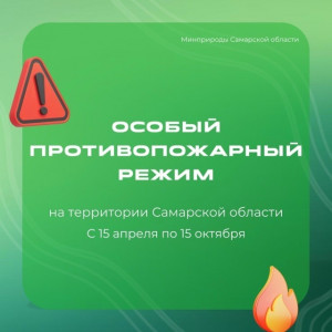 В лесах запрещено разведение огня: напоминаем самарцам о правилах пожарной безопасности в майские праздники