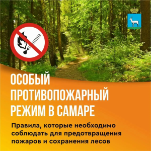 В Самаре за месяц с начала установления особого противопожарного режима проведено более 10 профилактических рейдов по недопущению возгораний в частном секторе, садово-дачных товариществах и городских лесах.
