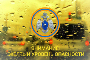 По информации Приволжского УГМС объявлен желтый уровень опасности. В ближайшие 2-4 часа местами на юго-западе, западе области ожидается сильный дождь с количеством осадков 15-49 мм, с сохранением до конца ночи 13.05.2026.