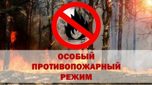 С 15 апреля по 15 октября 2026 года на территории Самарской области действует особый противопожарный режим