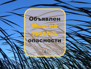 По информации Приволжского УГМС днем 14 мая местами в Самарской области ожидается усиление юго-восточного ветра, порывы 15-18 м/с.