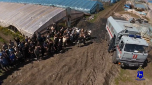 На стройках и в теплицах Самарской области в ходе рейдов проверили более 200 иностранных граждан