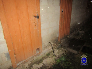 Жительница Обшаровки сообщила в полицию о пропаже бензокосилки и электропилы