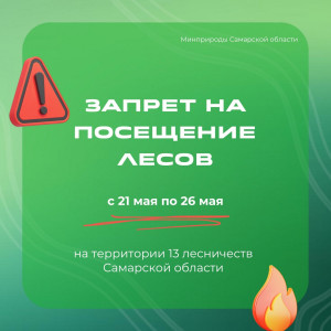 Минприроды Самарской области установило запрет на посещение 13 лесничеств региона.