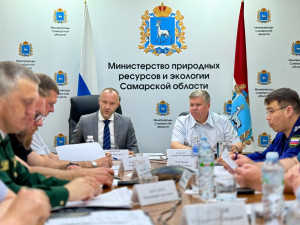 Руководитель Департамента лесного хозяйства по ПФО Эдуард Леонтьев:  до 90 процентов лесных площадей, пройденных огнём, приходится на территории, куда пожар перешёл с сопредельных земель.
