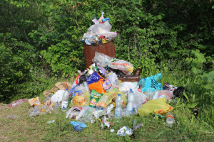 В Самаре в 2026 году ликвидируют 16 крупных свалок