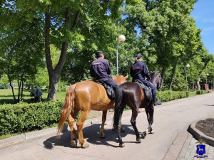 В рамках ОПМ «Профилактика» на патрулирование парков и улиц города Самары вышли кавалерийские подразделения городского УМВД России.